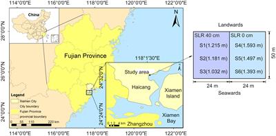 Mercury distribution and transfer in mangrove forests in urban areas under simulated rising sea levels